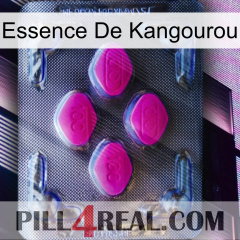 Kangaroo Essence 02